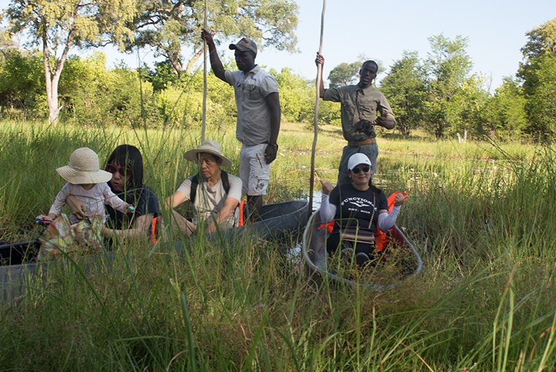 Traditional mokoro in the Okavango Delta