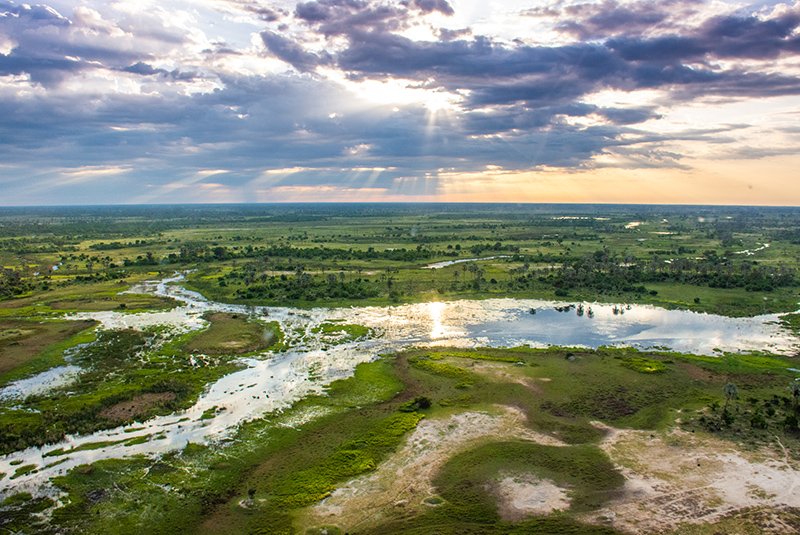Aerial view of the Okavango Delta channels and islands